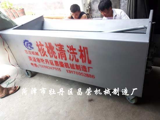 核桃清洗機